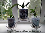 металлическая декоративная подставка для растений на окно